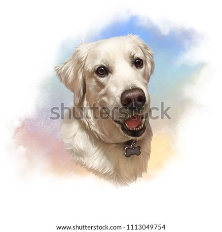 Illustration of Labrador Retriever. Guide dog, a disability assistance dog. Watercolor Animal collection. Art background. Dog Portrait: Hand Painted Illustration of Pet. Good for banner, T-shirt, card