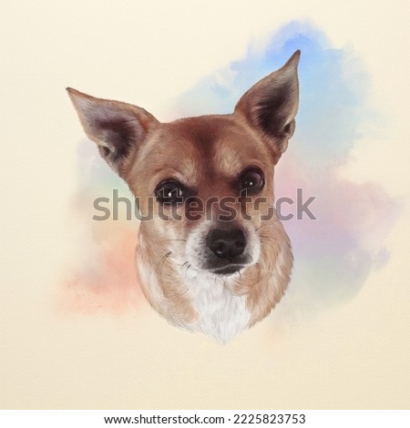 The Chihuahua dog on watercolor splash background. Painting of Head of a toy terrier. Animal art collection: Dogs. Realistic Portrait of a Cute puppy. Hand Painted Illustration of Pet. Art background