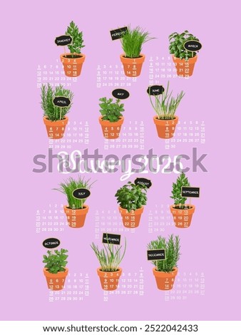 US 2025 year calendar with fresh herbs in pots, Savory 2025, pink background, green plants, terracotta pots.