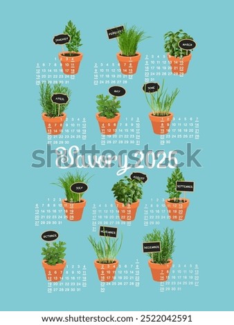 US 2025 year calendar with fresh herbs in pots, Savory 2025, pastel blue background, green plants, terracotta pots.