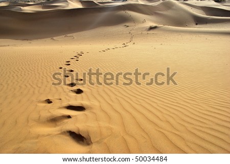 Footprints in sand dunes