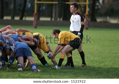 New Zealand club Rugby Action.  Kirwee vs Southern, the Kirwee Halfback placing the ball into a scrum.