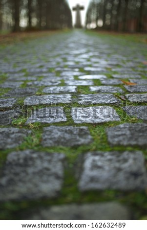 Old Cobbled Stones Road to Cross Close up with Autumn Leaves and Green Grass