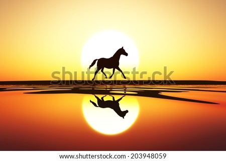 horse walk silhouette at sea sunset
