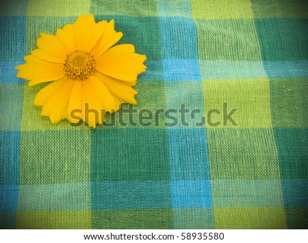Blue and green linen background with yellow flower.