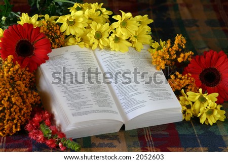 Thanksgiving themed bible