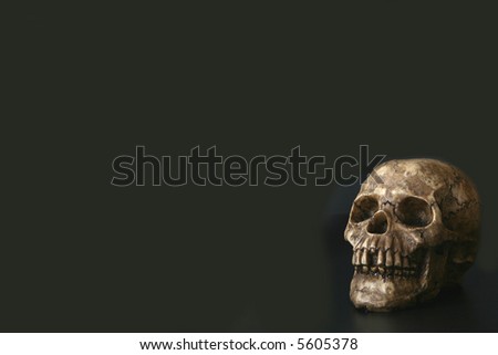 Skull Background:  Skull against a black background with lots of copy space.  Good for halloween or conceptual image for medical/science.