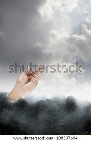 A hand reaching up to a dramatic cloudy sky from a misty rainforest treeline for the concept of environmental friendly lifestyle.