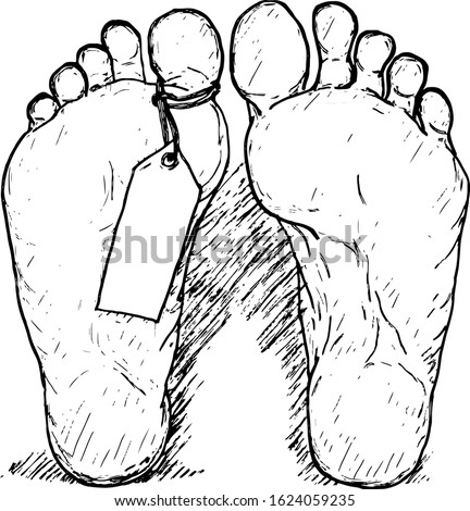 A pair of feet with an identification tag tethered to a toe. Hand drawn vector illustration. 