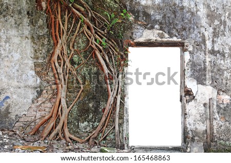 A blank doorway on a old dilapidated brick wall overgrown with tree roots and vine.