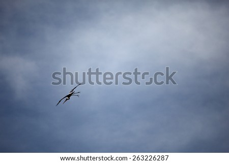 A lone crane bird flying across a blue cloudy sky.