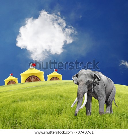 A big elephant roaming around a grassland next to the yellow circus big top on a clear summer day.