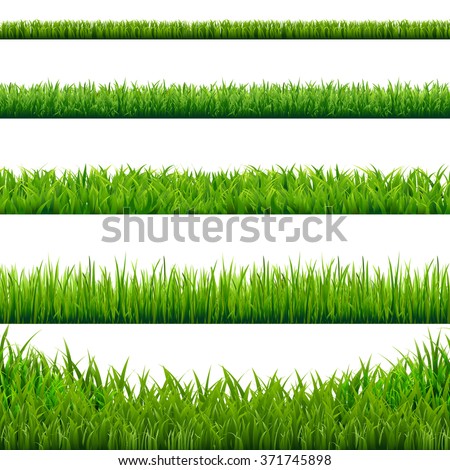 Big Grass Borders Set, Vector Illustration ストックフォト © 