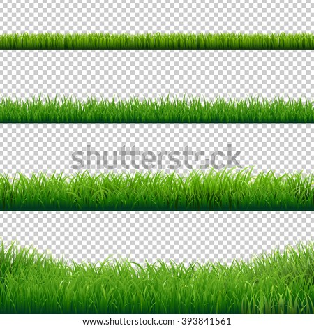 Green Grass Borders Set, Vector Illustration