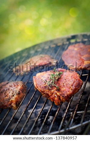 Grilled Pork Steak BBQ with herbs. Barbecue Meat Steak outdoor on fire grill