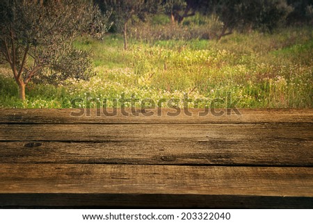 Olive grove. Wood empty table with ripe olive trees in the background. Nature background