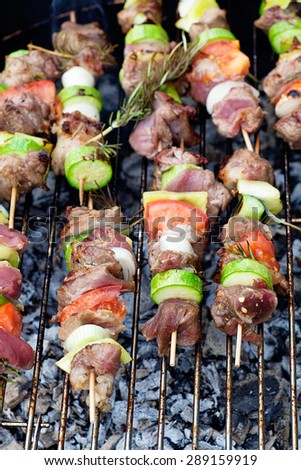 Summer barbecue. Meat BBQ with herbs and vegetables. Outdoor grill food