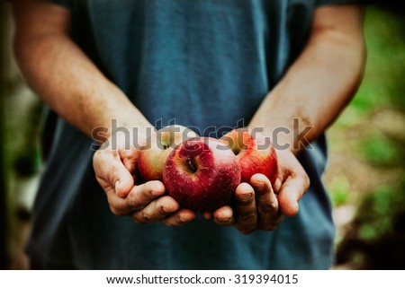 Similar – Image, Stock Photo Apple harvest or man with hat sits under a ripe apple tree