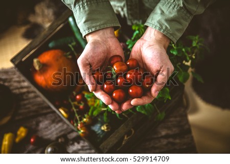 Similar – Image, Stock Photo A person holds home-picked strawberries in his hand in the strawberry field