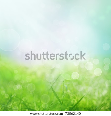 Spring or summer  abstract nature background with grass in the meadow and blue sky in the back