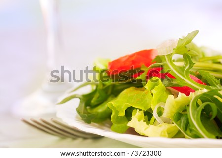 Healthy vegetable salad with lettuce, spring onion, rocket salad, tomatoes and radish