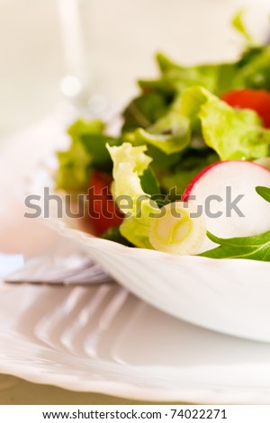 Healthy vegetable salad with lettuce, spring onion, rocket salad, tomatoes and radish