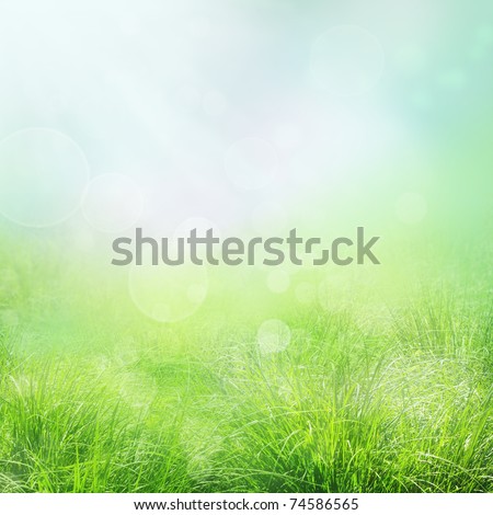 Spring or summer abstract nature background with grass and bokeh lights. Blue sky in the back