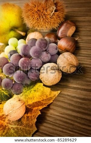 Nature background made of autumn fruit and beautiful sunlight in the back. Grapes, chestnut, vine leaf, walnuts, quince and apples.