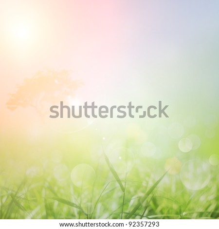 Spring or summer abstract nature background with grass in the meadow and sunset sky in the back