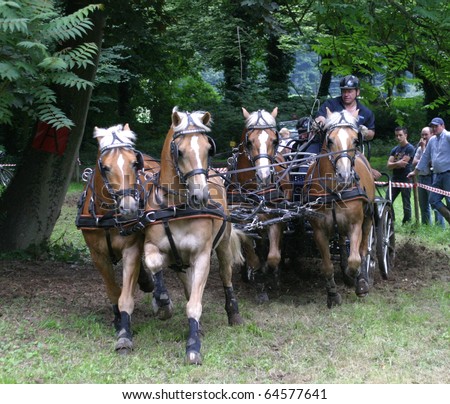 LINDEN - JULY 13: Four horses and horsemen at summer horse games on July 13, 2008 in Linden, Belgium