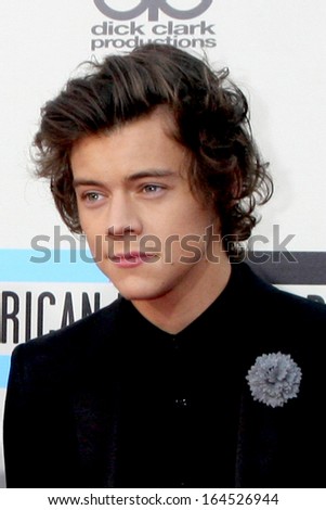 LOS ANGELES - NOV 24:  Harry Styles at the 2013 American Music Awards Arrivals at Nokia Theater on November 24, 2013 in Los Angeles, CA