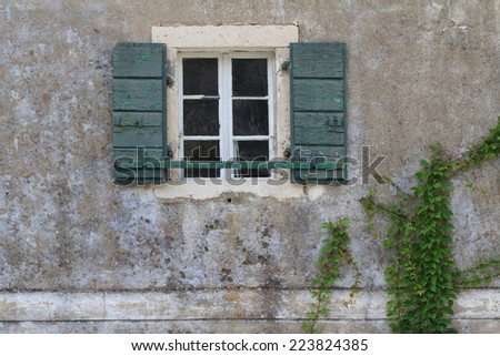Window with open green shutters on old stone wall of the house and climbing vines. close-up