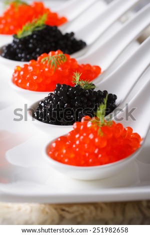 red and black caviar close-up in white spoons. Vertical
