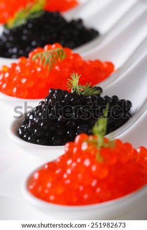 red and black caviar fish close-up in white spoons. vertical