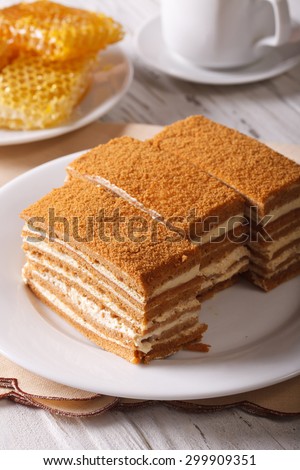 Traditional honey cake on a plate close-up and honeycomb. vertical