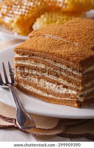 delicious honey cake on a plate close-up on a background of honeycomb. Vertical