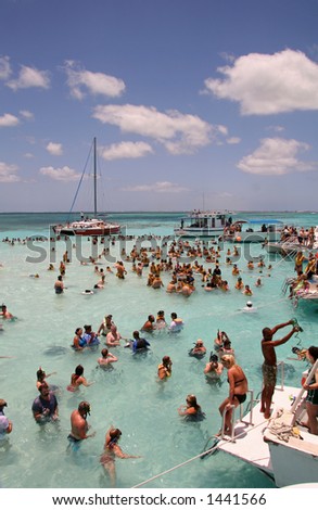 Sting Ray City - Grand Cayman Islands