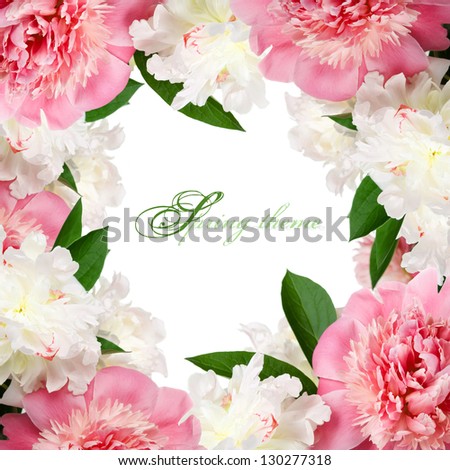 Peach pink and white peonies frame with copy space