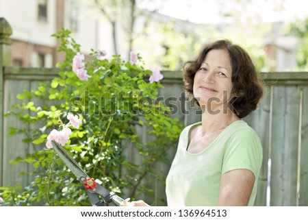 Happy senior woman enjoying gardening and pruning rose bush with clippers