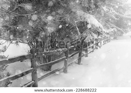 Black and white winter landscape with rural fence and falling snow