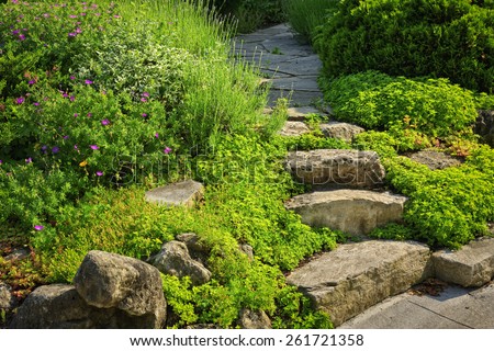 Natural stone steps and path landscaping in home garden