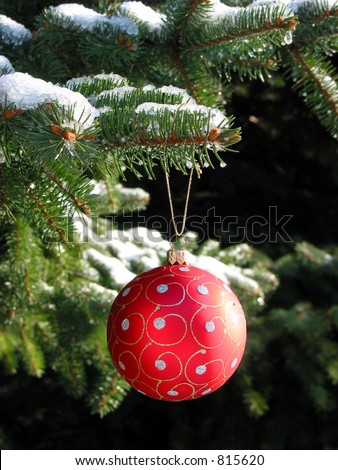 Red Christmas ball on snow covered fir tree