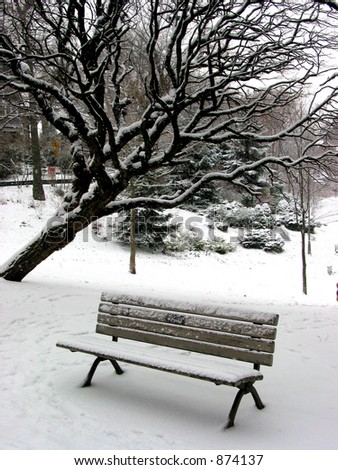 Winter bench in a park covered with snow, under a tree. Big snowflakes falling are seen at full size.