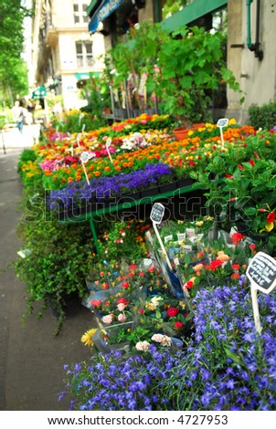 Colorful flower stand on a sidewalk in Paris, France.