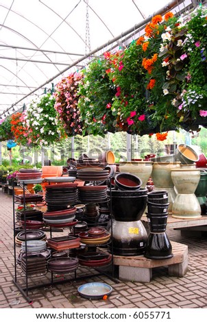 Flowers and ceramic pots for sale in a greenhouse
