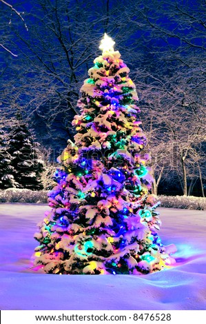 Decorated christmas tree outside with lights covered with snow