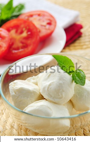 Bocconcini cheese, basil and sliced tomatoes - ingredients of traditional italian cuisine
