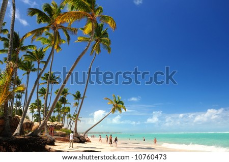 Tropical beach with palm trees on Caribbean island