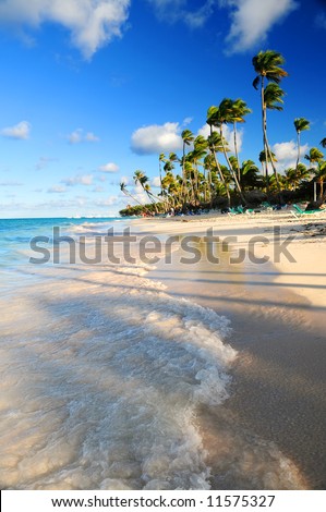 Tropical sandy beach with palm trees in Dominican republic
