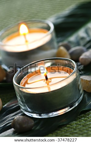 Burning candles in glass holders on green leaf